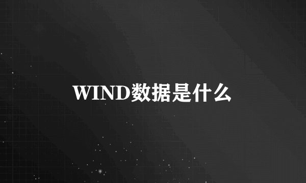 WIND数据是什么