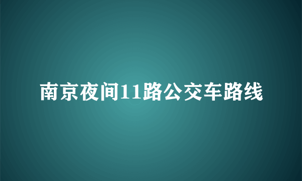 南京夜间11路公交车路线