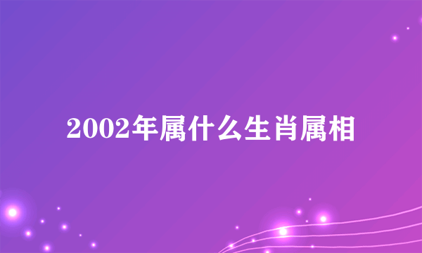 2002年属什么生肖属相