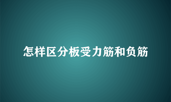 怎样区分板受力筋和负筋