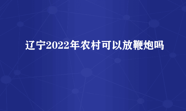 辽宁2022年农村可以放鞭炮吗