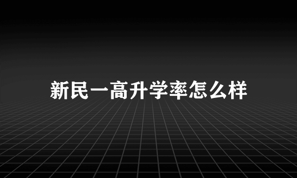 新民一高升学率怎么样