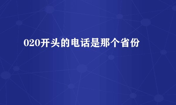 020开头的电话是那个省份