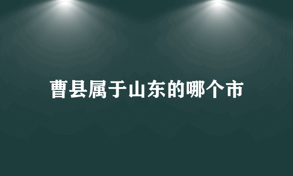 曹县属于山东的哪个市