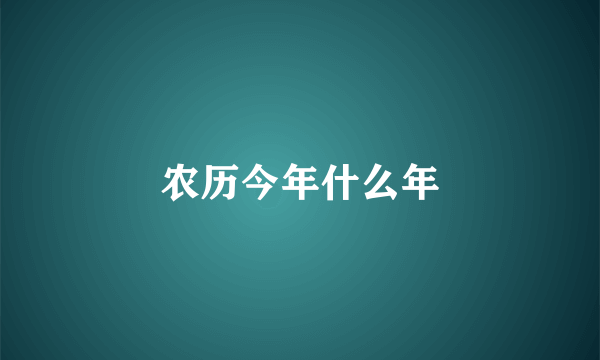 农历今年什么年