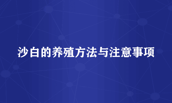 沙白的养殖方法与注意事项