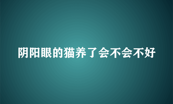 阴阳眼的猫养了会不会不好