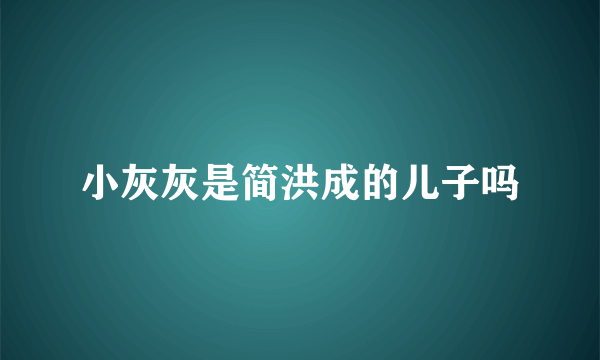 小灰灰是简洪成的儿子吗