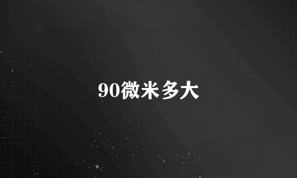 90微米多大