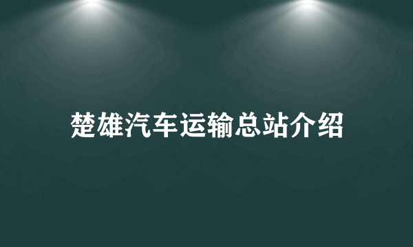 楚雄汽车运输总站介绍