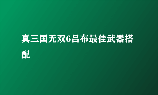 真三国无双6吕布最佳武器搭配