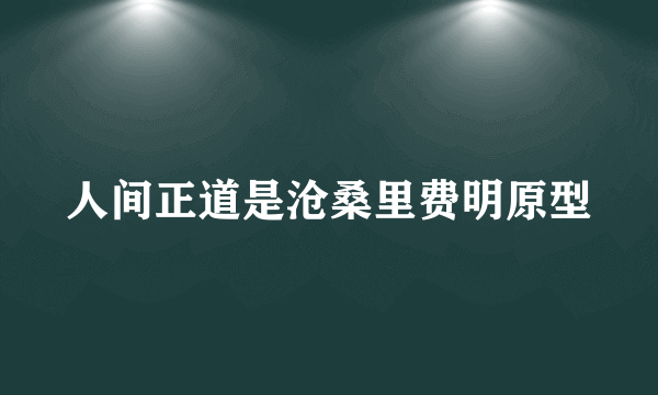 人间正道是沧桑里费明原型