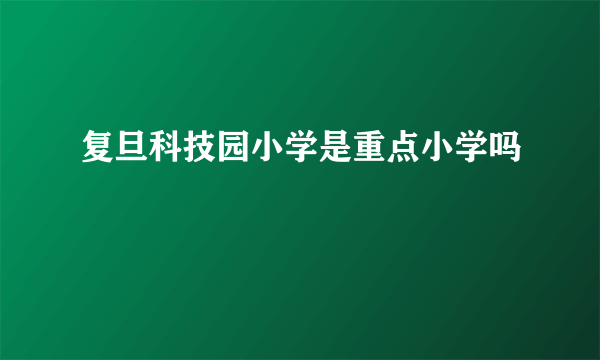 复旦科技园小学是重点小学吗