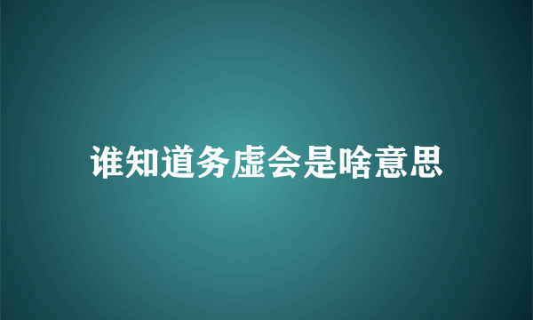 谁知道务虚会是啥意思