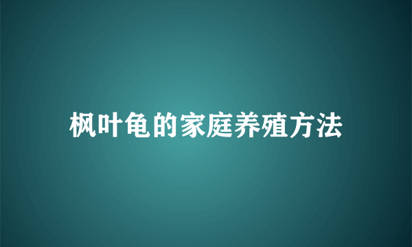 枫叶龟的家庭养殖方法