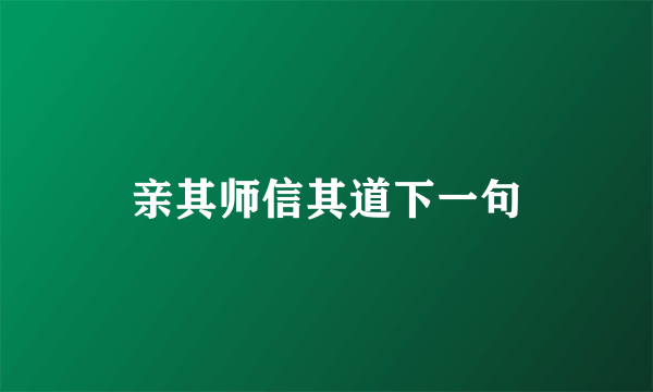 亲其师信其道下一句