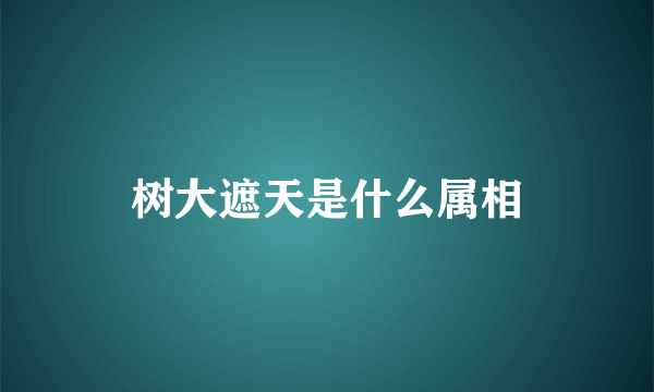 树大遮天是什么属相