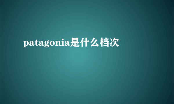 patagonia是什么档次