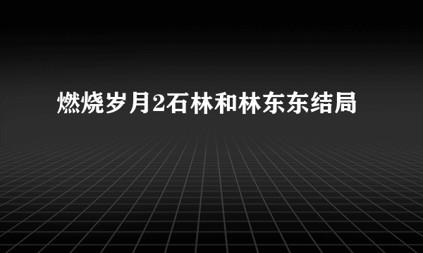 燃烧岁月2石林和林东东结局