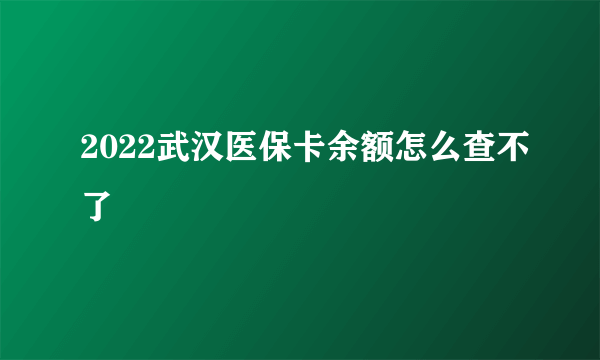 2022武汉医保卡余额怎么查不了