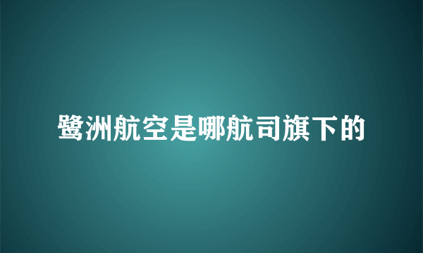 鹭洲航空是哪航司旗下的