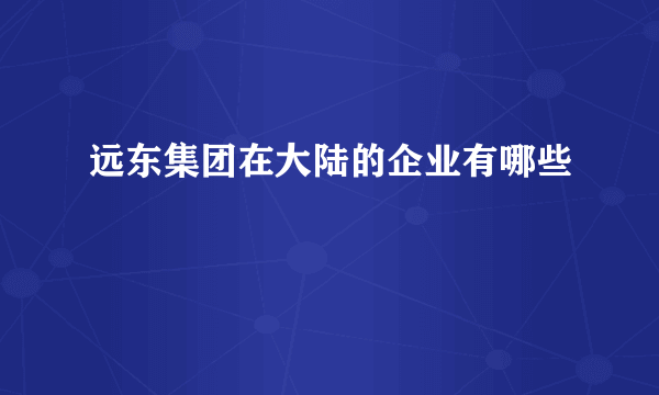 远东集团在大陆的企业有哪些