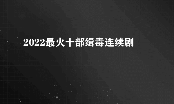 2022最火十部缉毒连续剧