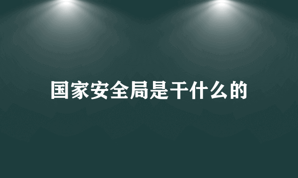 国家安全局是干什么的