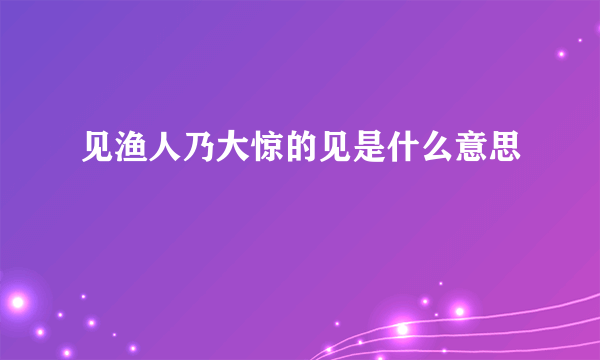 见渔人乃大惊的见是什么意思