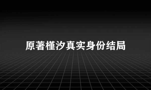 原著槿汐真实身份结局