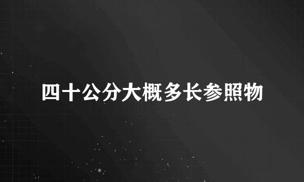 四十公分大概多长参照物