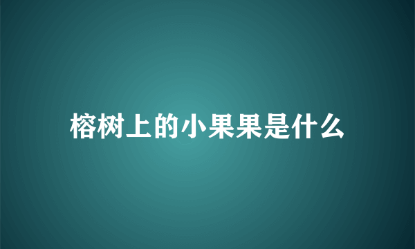 榕树上的小果果是什么