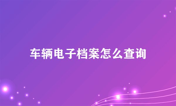 车辆电子档案怎么查询