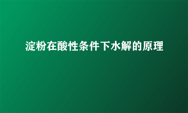 淀粉在酸性条件下水解的原理