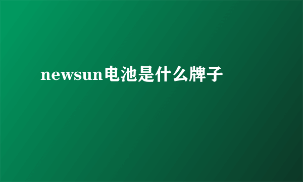 newsun电池是什么牌子