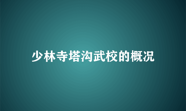 少林寺塔沟武校的概况