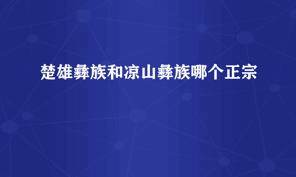 楚雄彝族和凉山彝族哪个正宗