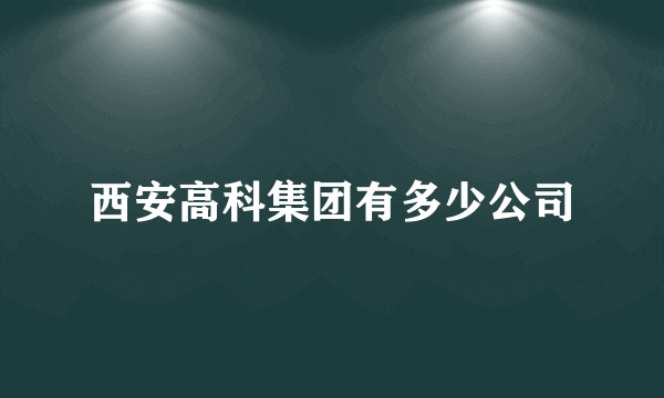 西安高科集团有多少公司