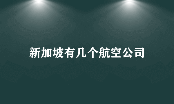 新加坡有几个航空公司