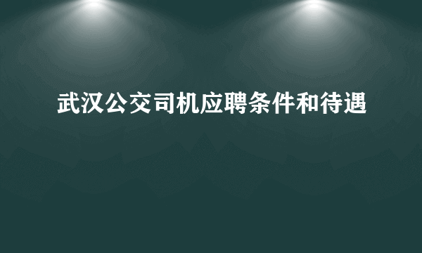 武汉公交司机应聘条件和待遇