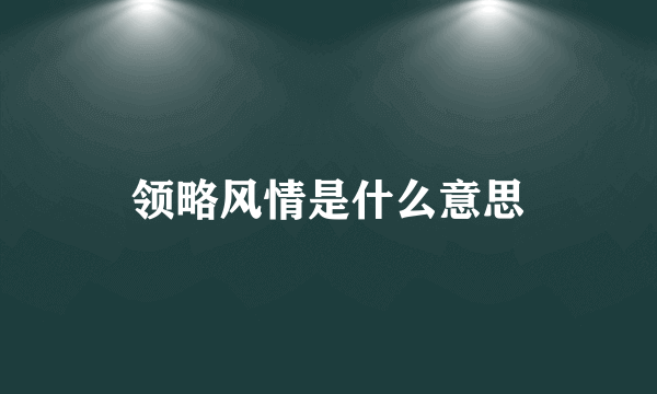 领略风情是什么意思