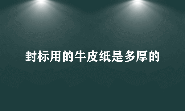 封标用的牛皮纸是多厚的