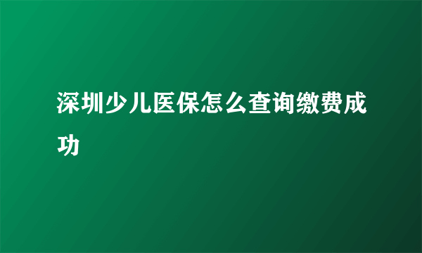 深圳少儿医保怎么查询缴费成功