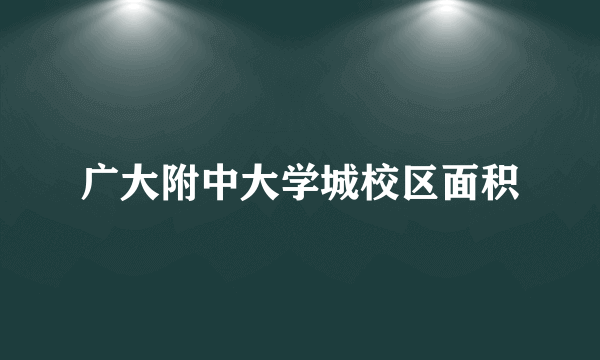 广大附中大学城校区面积