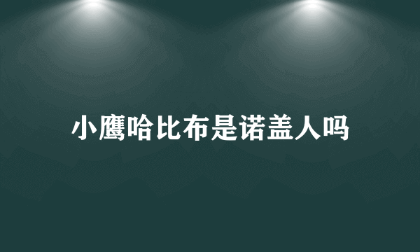 小鹰哈比布是诺盖人吗