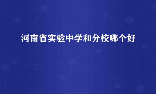 河南省实验中学和分校哪个好