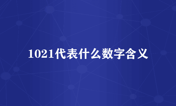 1021代表什么数字含义