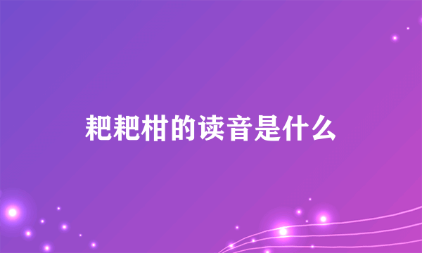 耙耙柑的读音是什么