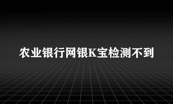 农业银行网银K宝检测不到