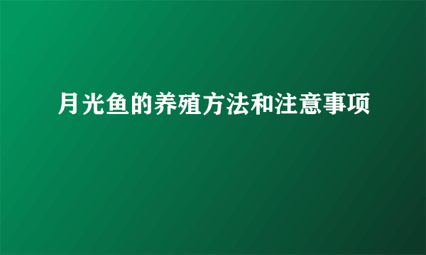 月光鱼的养殖方法和注意事项